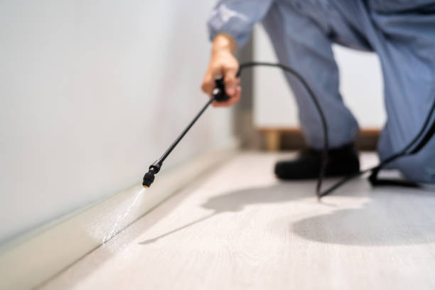 Licensed Mosquito Control service in Portsmouth, VA - Show Me Pest Control