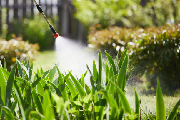 24/7 Emergency Mosquito Control experts in Portsmouth, VA