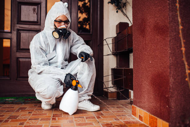 Reliable Mosquito Control contractor in Portsmouth, VA by Show Me Pest Control