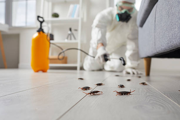Affordable Mosquito Control solutions in Portsmouth, VA
