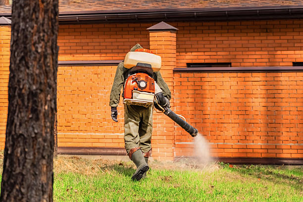 Top rated local Mosquito Control specialists in Portsmouth, VA
